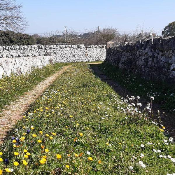 B&B Trulli Sotto La Cupa Martina Franca Exterior foto